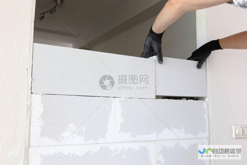 自己动手建网站：从零开始，一步步掌握网站建设技巧